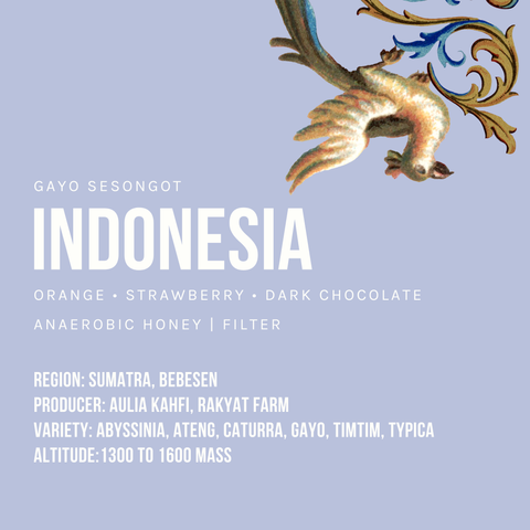 ინდონეზია დამუშავება - თაფლი, ფილტრი | Indonesia Barokah Kerinci Honey Farmgate Initiative Filter