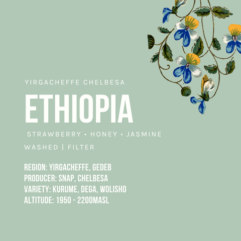 დრიპ ყავა ეთიოპია სველი დამუშავების | Ethiopia Yirgacheffe Chelbesa Washed Drip Bag