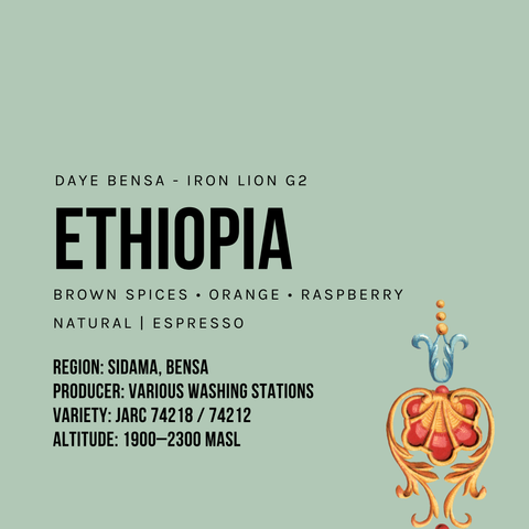 Ethiopia Daye Bensa Iron Lion G2 Natural Espresso