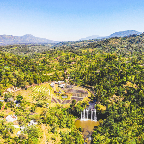 Ethiopia Sidama Bensa Bombe G1 Natural Filter