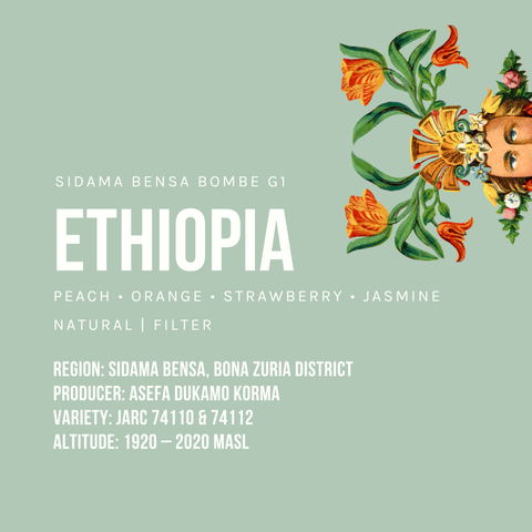 Ethiopia Sidama Bensa Bombe G1 Natural Filter