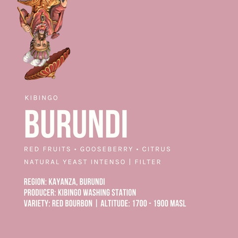 Burundi Kibingo Natural Yeast Intenso Filter