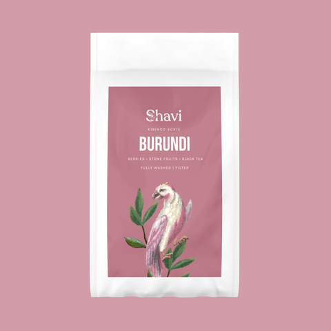 Burundi Kibingo SCR15 Washed Filter