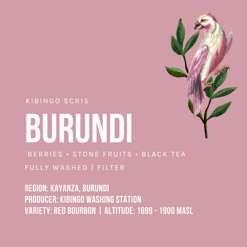 Burundi Kibingo SCR15 Washed Filter