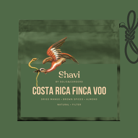 Costa Rica Finca Voo Natural Filter / Cup Of Excellence Winner