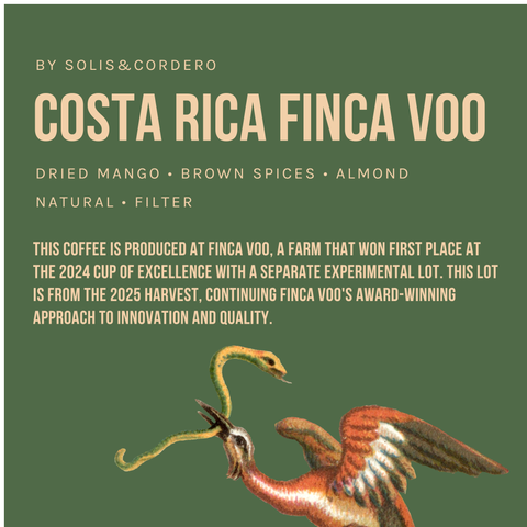 Costa Rica Finca Voo Natural Filter / Cup Of Excellence Winner