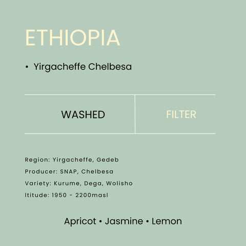 Ethiopia Yirgacheffe Chelbesa Washed Filter