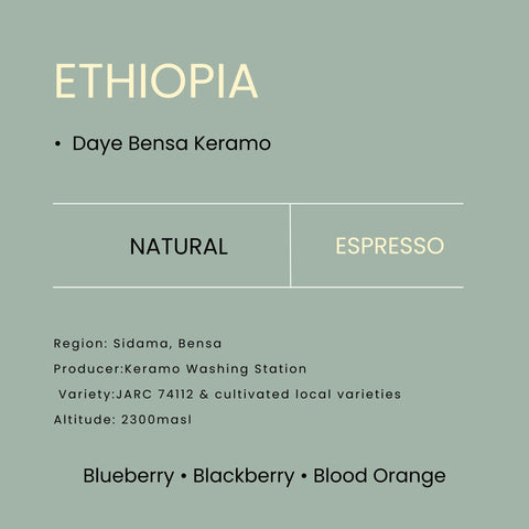 Ethiopia Daye Bensa Keramo Natural Espresso