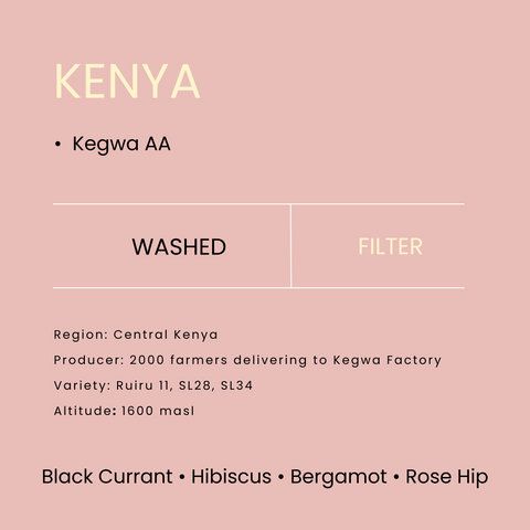 Kenya Kegwa AA SL34 Washed