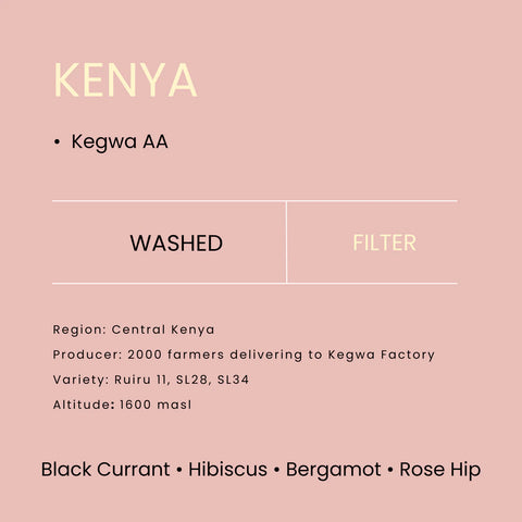 Kenya Kegwa AA SL34 Washed Drip Box X10