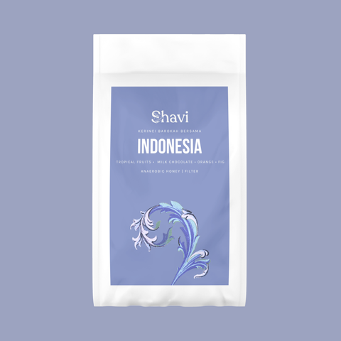 Indonesia Kerinci Barokah Bersama Anaerobic Honey Filter