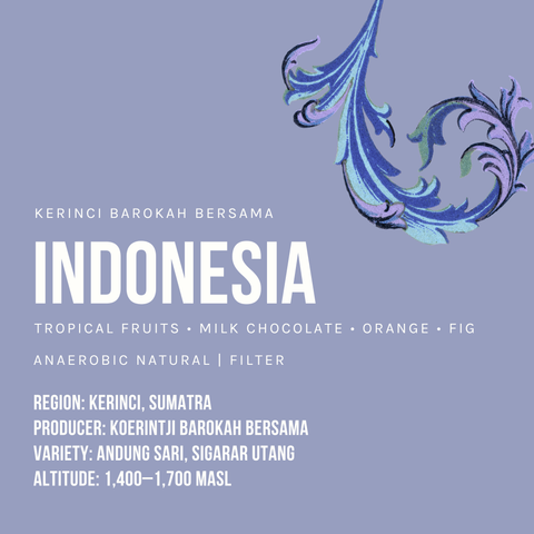 Indonesia Kerinci Barokah Bersama Anaerobic Honey Filter