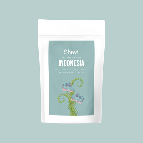 Indonesia West Java Sadayana Anaerobic Natural Filter