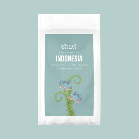 Indonesia West Java Sadayana Anaerobic Natural Filter