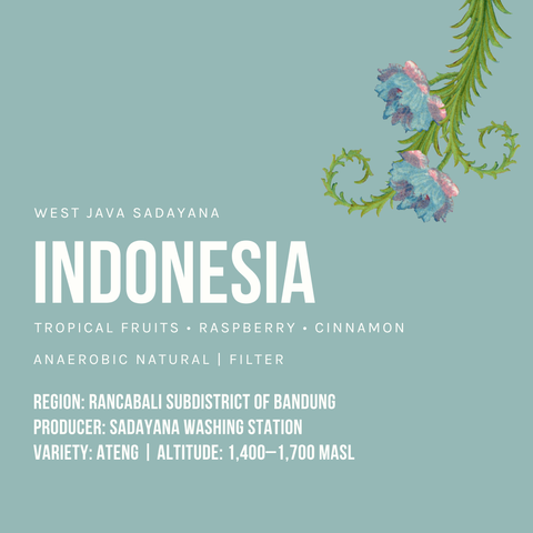 Indonesia West Java Sadayana Anaerobic Natural Filter