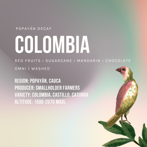 Colombia Popayán Decaf Washed Omni