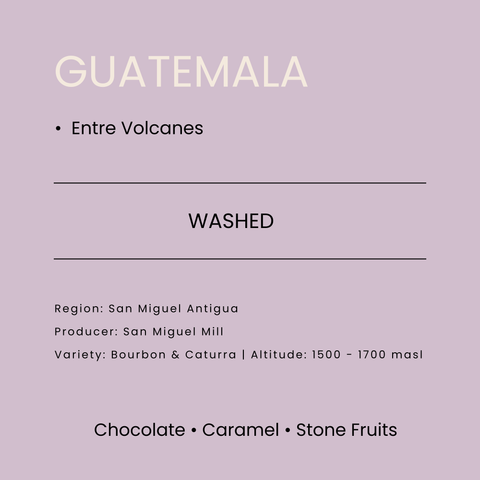 Guatemala Entre Volcanes Washed Espresso