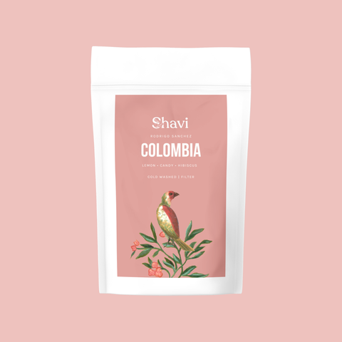 Colombia Rodrigo Sanchez Cold Washed Filter