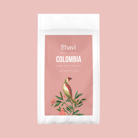 Colombia Rodrigo Sanchez Cold Washed Filter