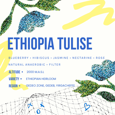 Ethiopia Tulise Natural Anaerobic Filter