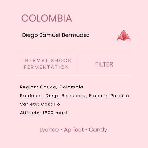 Colombia Lychee by Diego Bermudez Micro lot Thermal Shock Filter