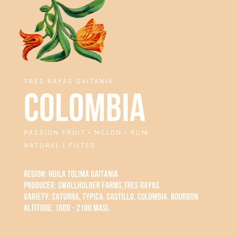 Colombia Tolima Tres Rayas Gaitania Natural Filter
