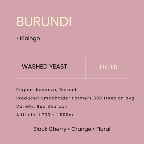 Burundi Kibingo Washed Yeast Intenso Filter