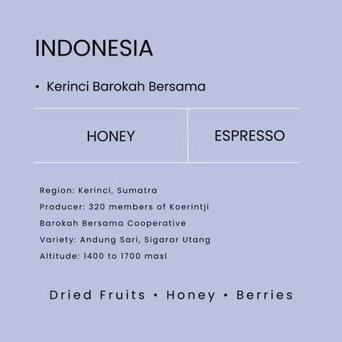 Indonesia Barokah Kerinci Honey Farmgate Initiative Espresso