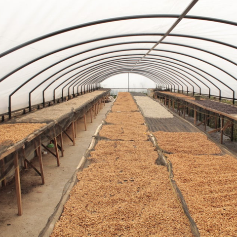 Indonesia West Java Sadayana Anaerobic Natural Filter