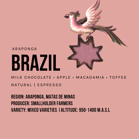 Brazil Araponga Natural Espresso