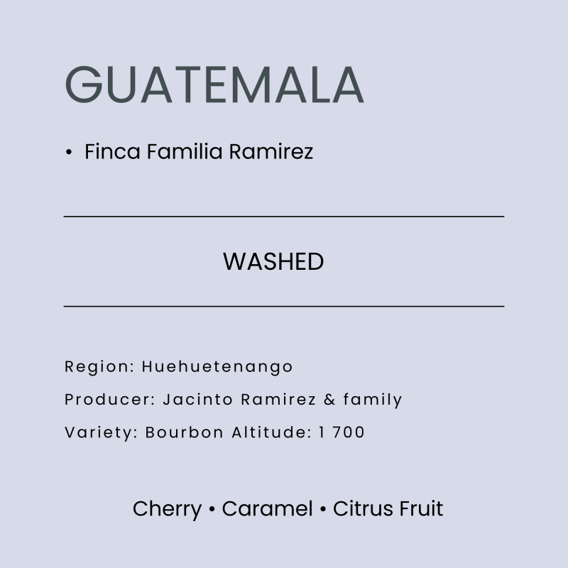 Shavi-Coffee-Roasters-Guatemala-Finca-Familia-Ramirez-Washed-Filter